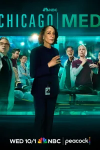 Медики Чикаго 2015